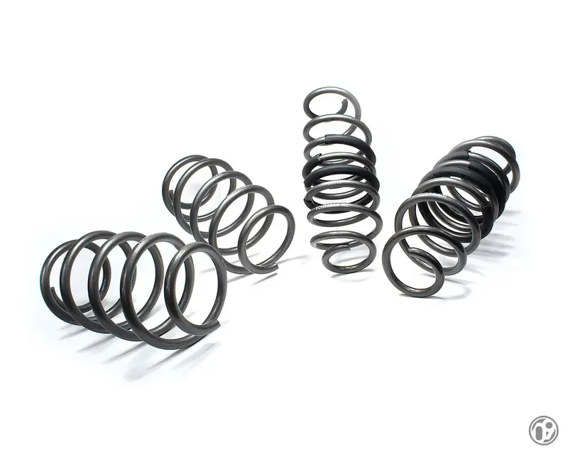 09 Design - 09D Performance Spring Kit [Fiesta St Mk8/Mk8.5 | Puma St] 1