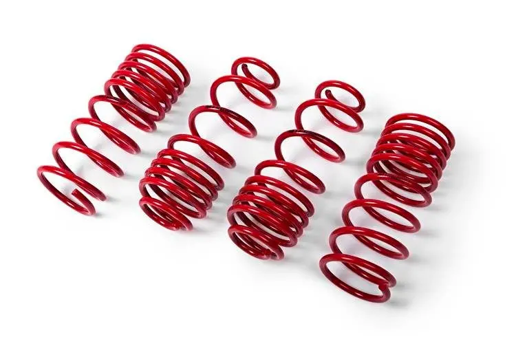 Bmw F10 520D / 530D 
Mts Technik Lowering Springs 1