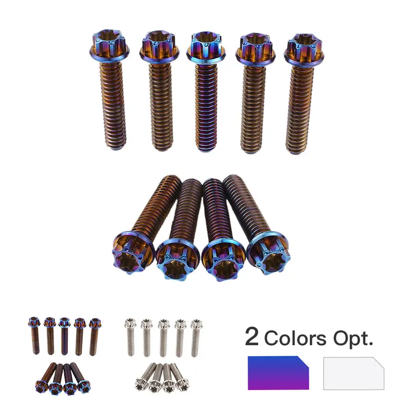 Cam Cover Screws Bolts For Harley Softail Standard Fat Boy Street Bob Low Rider Heritage 1