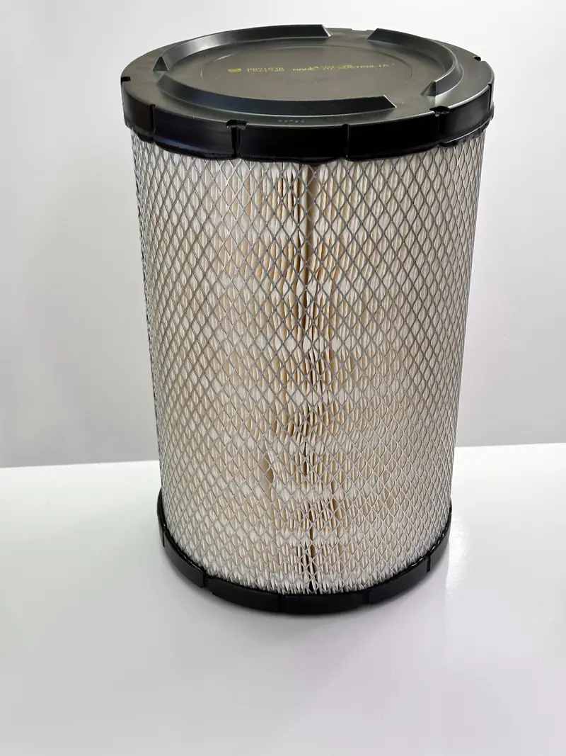 Donaldson P821938 Primary Air Filter, Radialseal 1