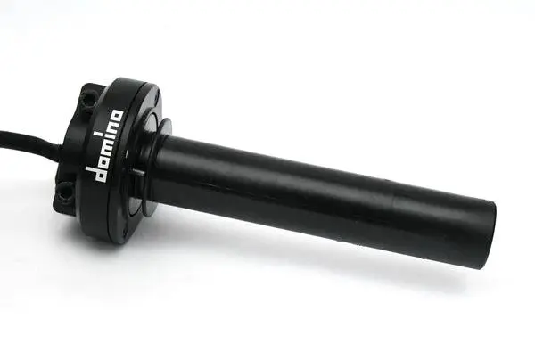 Ducati V4 Domino Throttle Control 1