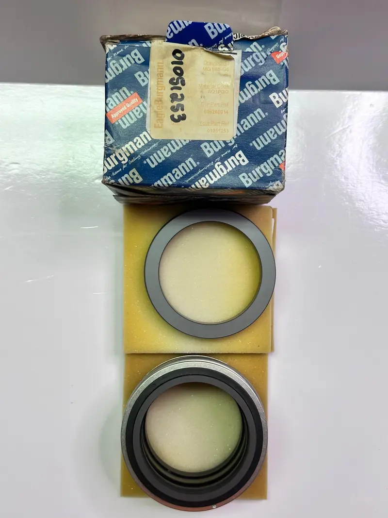 Eagleburgmann Mg1/65-G6 Aq1pgg Mechanical Seal 2