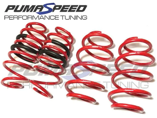 Eibach Redline Fiesta St Mk8 Special Edition Level Spring - Fiesta St Mk8 1