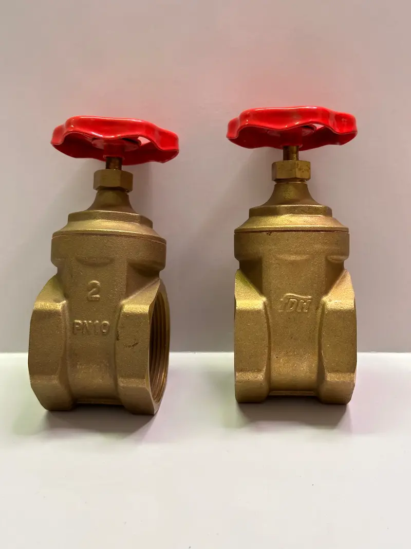 Fdh F601 2" Brass Gate Valve Pn10 1