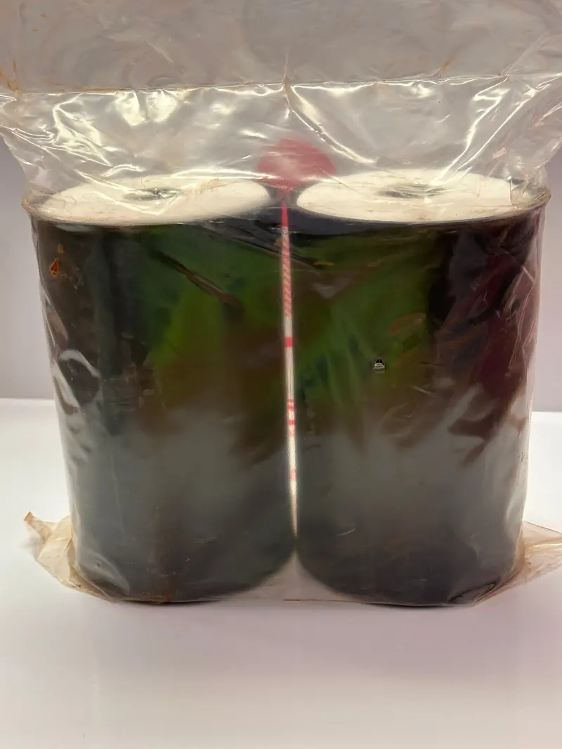 Fm2000 Oil Element Filter 1