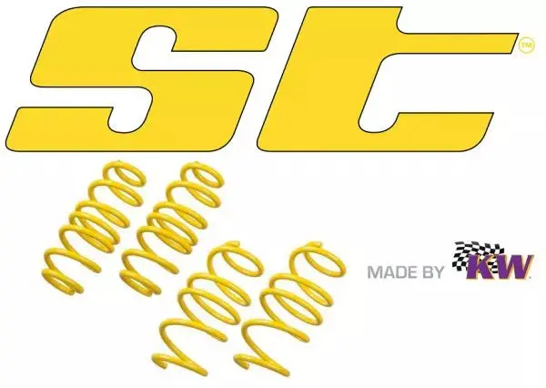Ford Mustang 5.0 V8 Kw St Suspension 30/30Mm Lowering Springs 2
