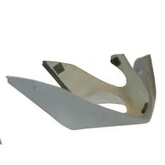 Honda Nsf250 Race Fairing 1