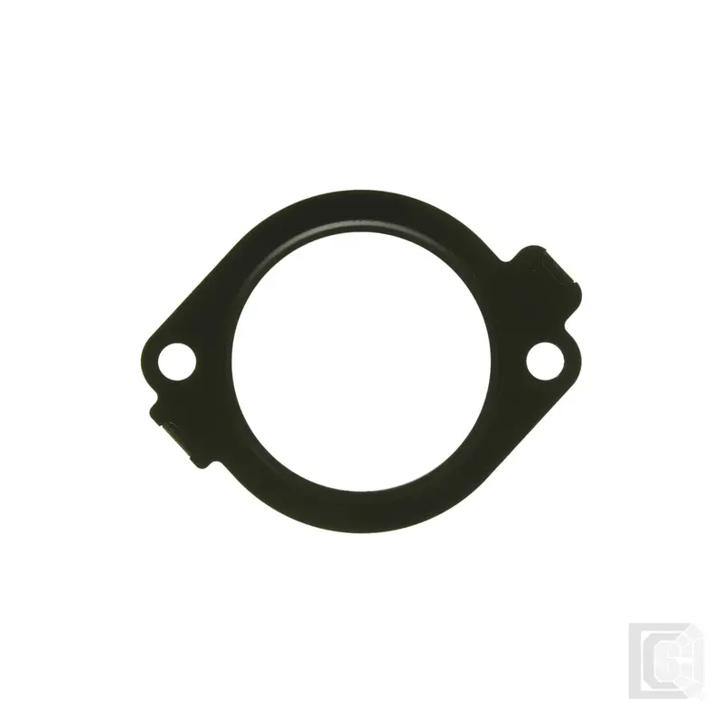 Mahle - Chevy, Gmc & Hummer Fuel Injection Plenum Gasket - G31908 1