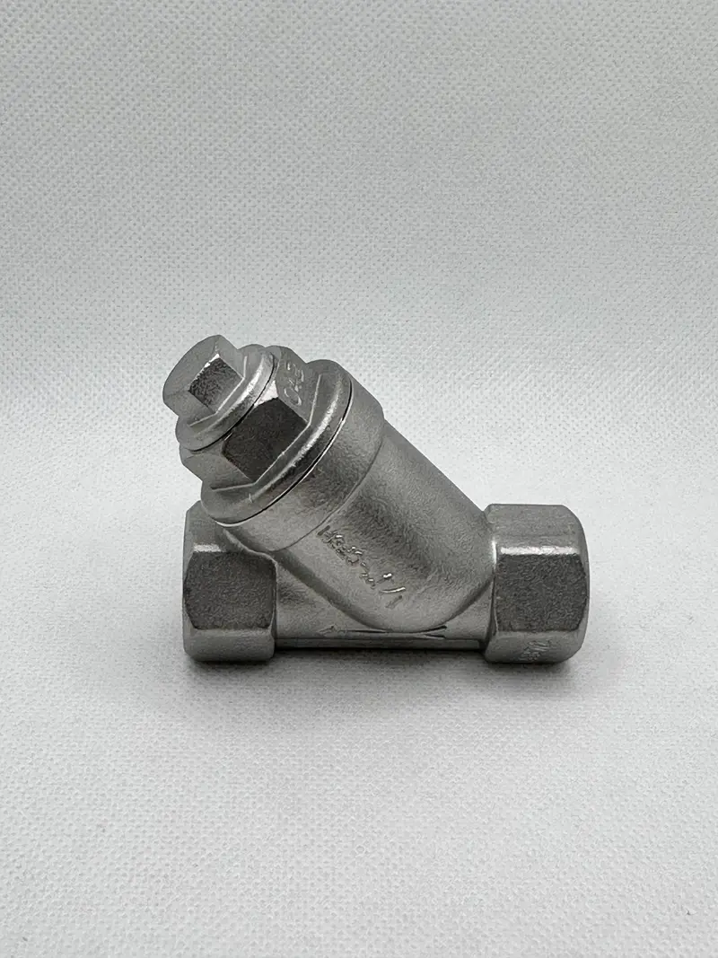 St006s11 Y-Strainer 1/4" Bsp 1