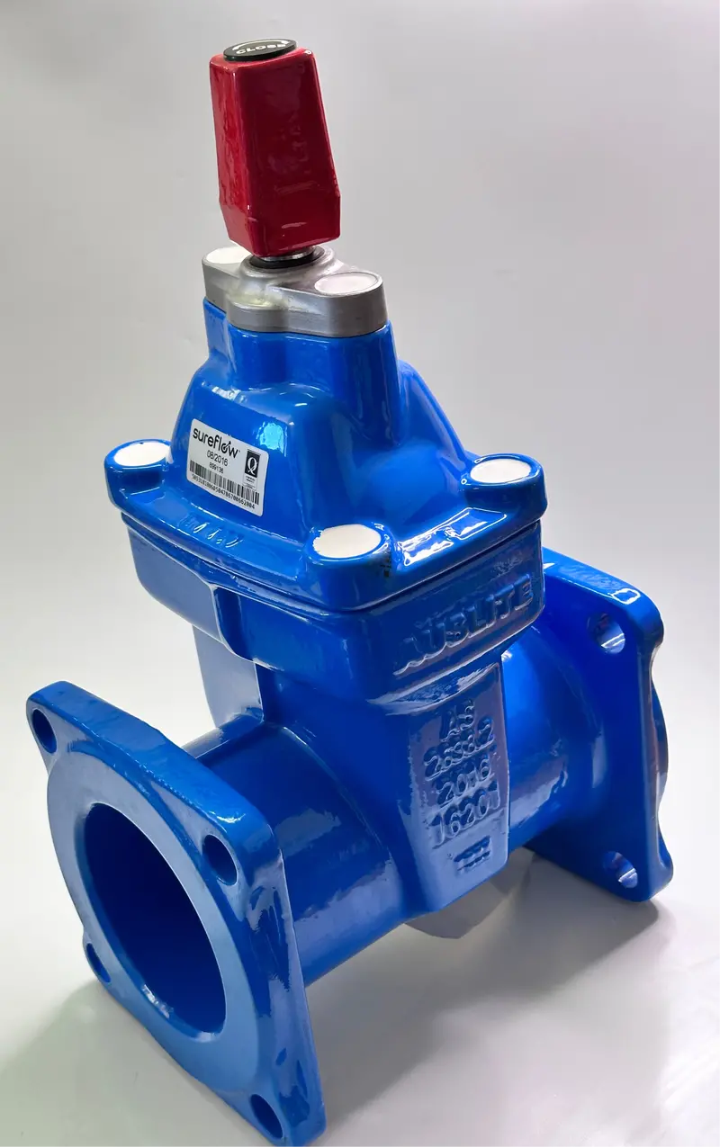 Sureflow 899136 Resilient Seated Gate Valve With Stem Cap Dn100 1