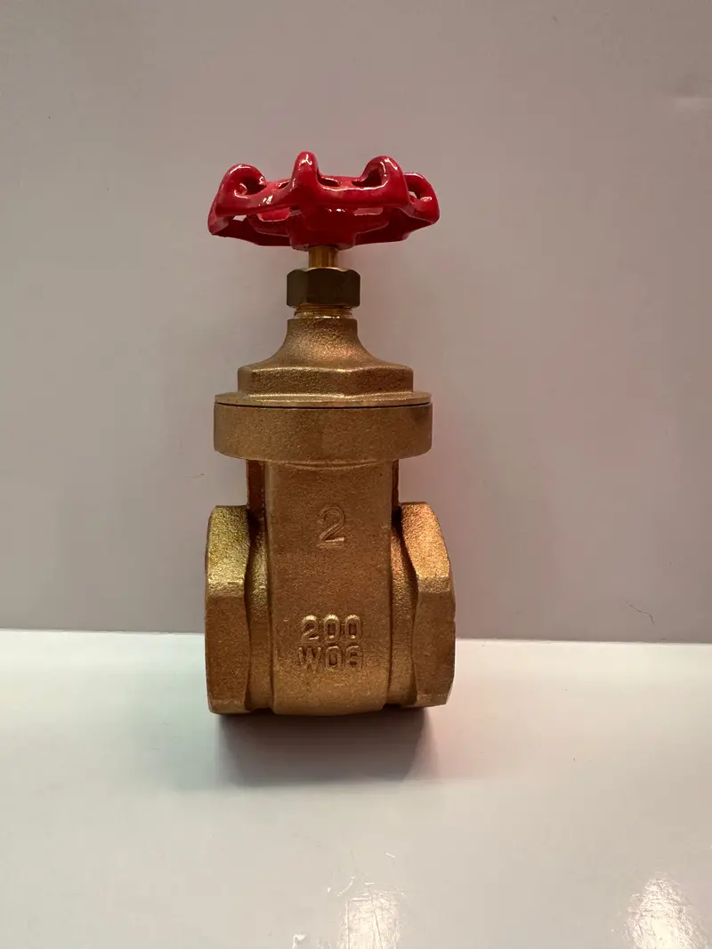 T101050 50Mm Brass Gate Valve Pk 2 1