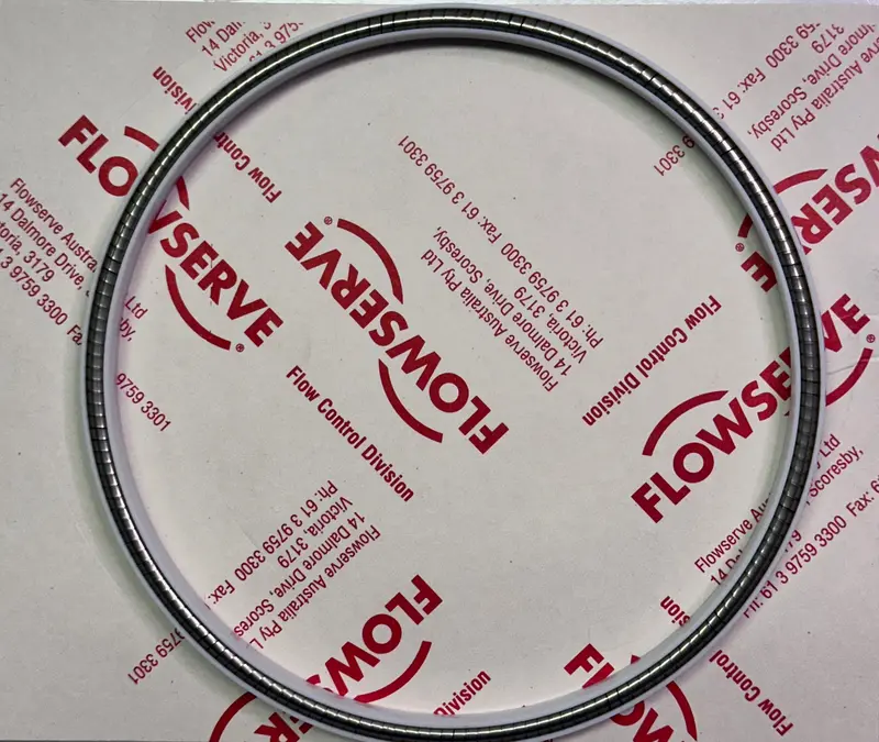 Valtek 180741.999.000 Spring Energized Seal 1