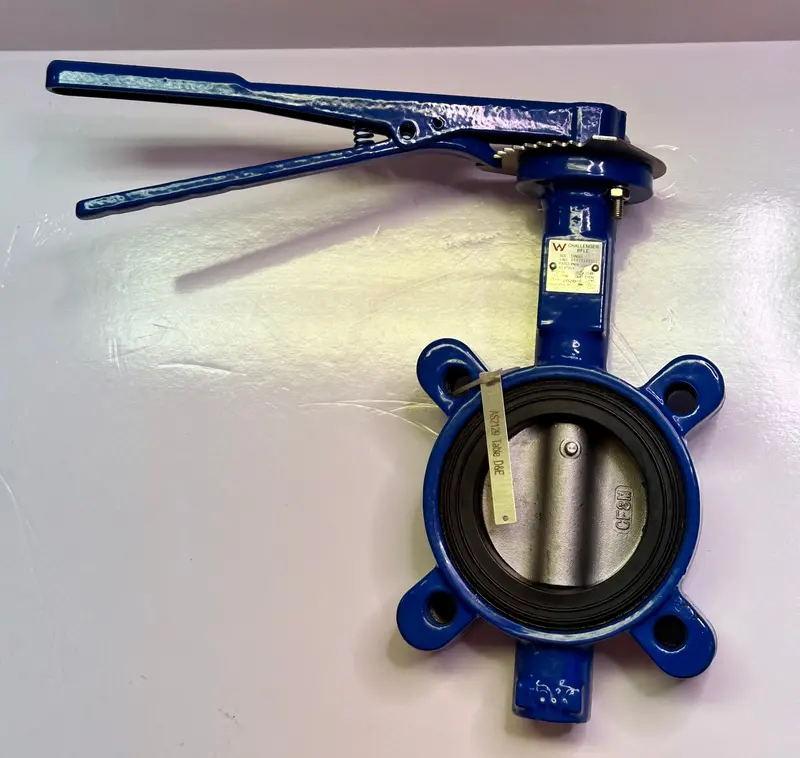 Watermark Bfl80-L-E Dn80 Lugged Butterfly Valve 1
