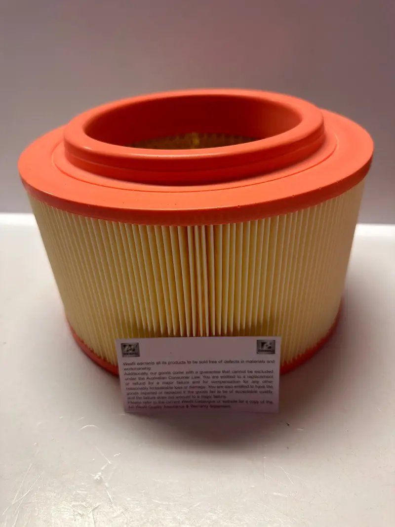 Wesfil Wa5251 Air Filter 1