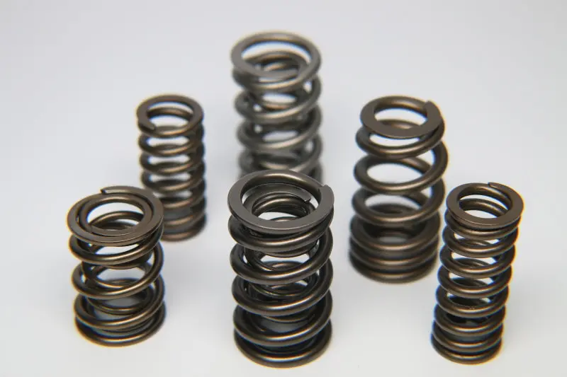Ferrea Pro Pac Dual Valve Spring Set (16 Pcs) For Gm Ls1 Engines 1